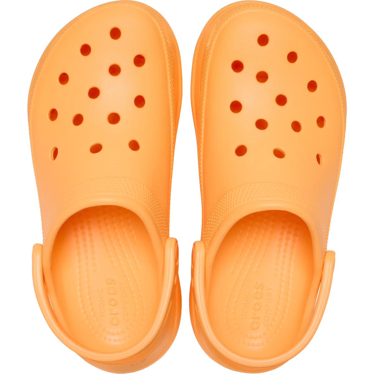 shoe img
