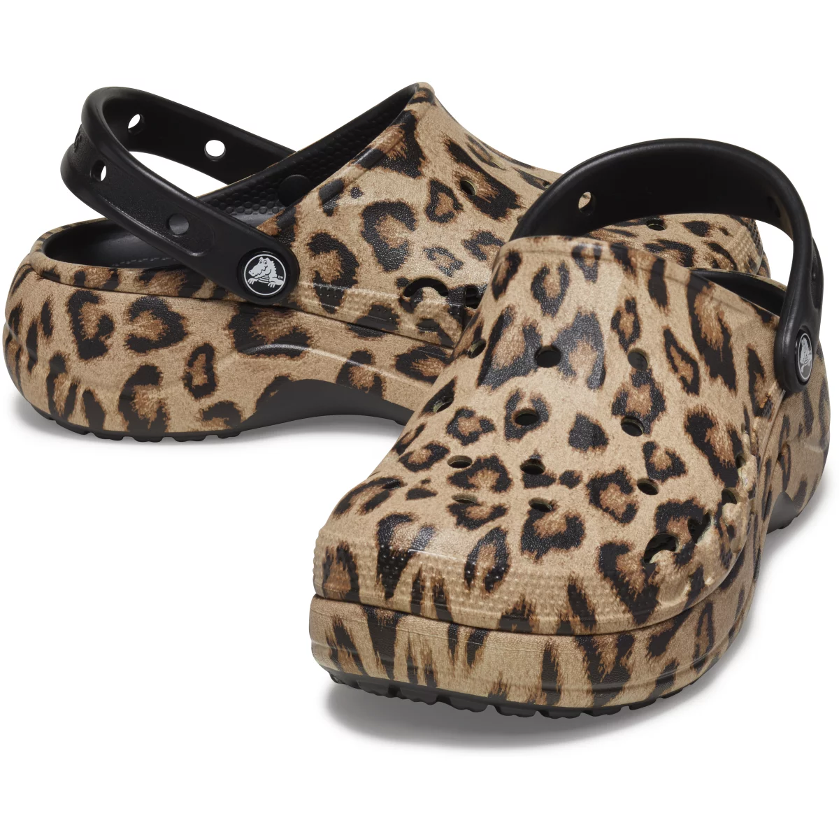 shoe img
