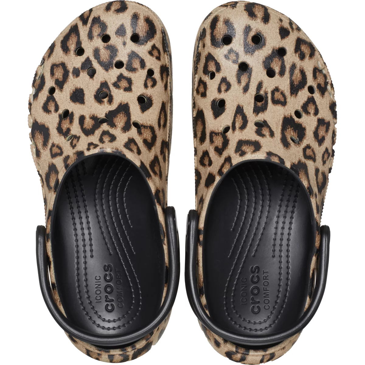 shoe img
