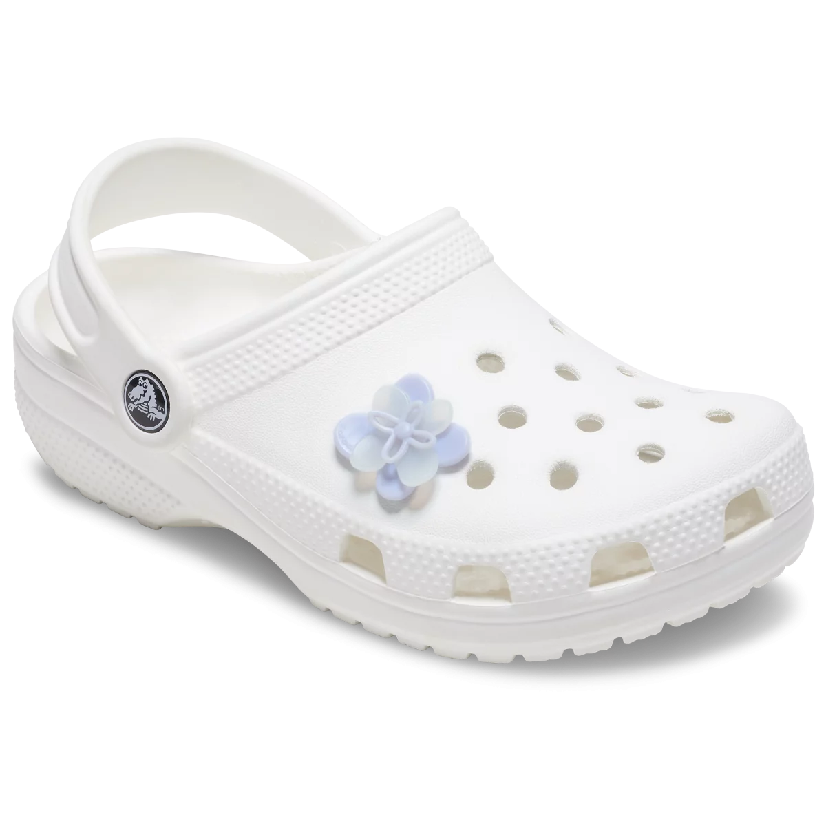 shoe img