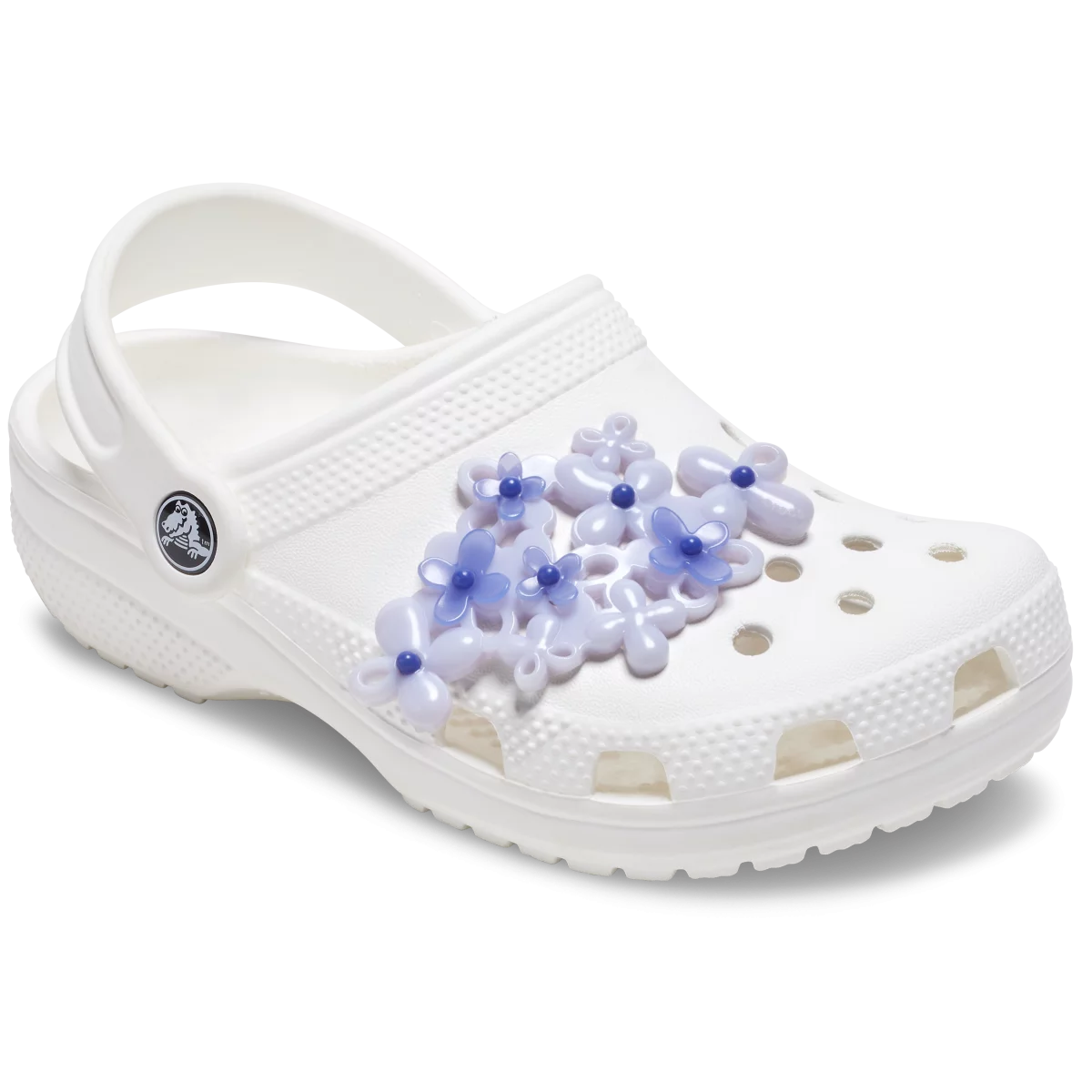 shoe img