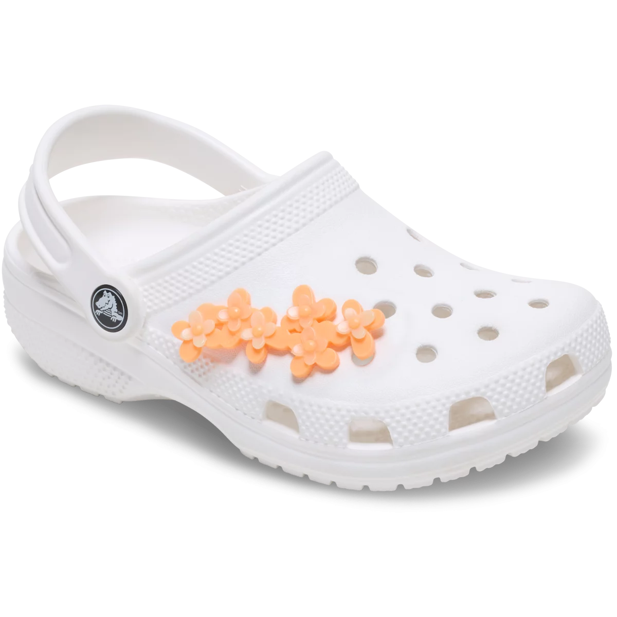 shoe img