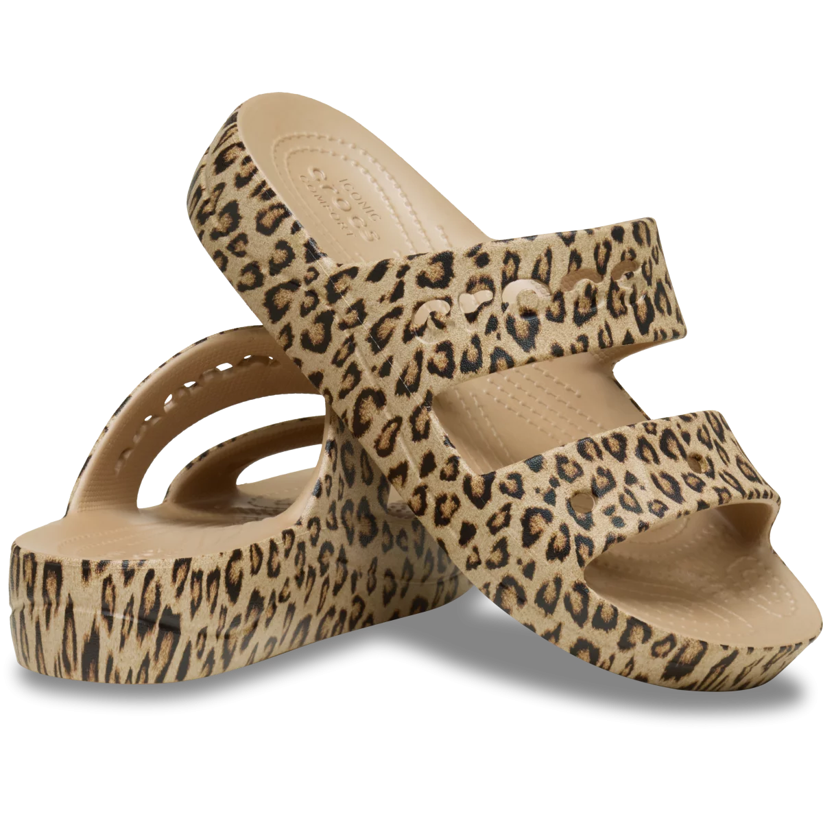 shoe img