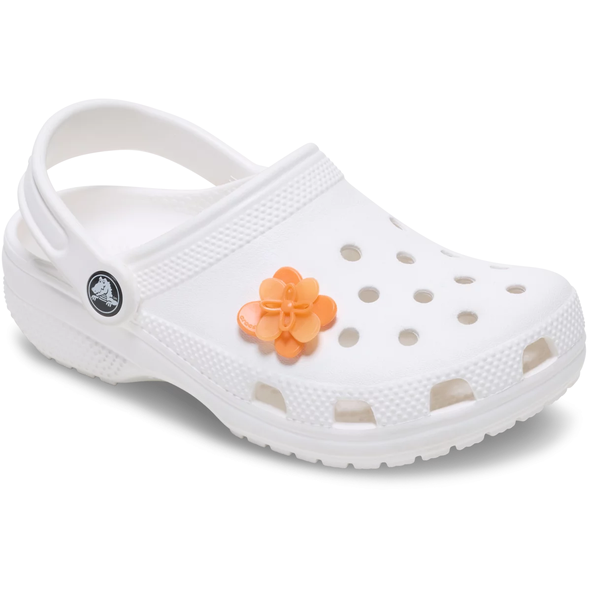 shoe img